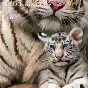 Meet your Posher, Ericka